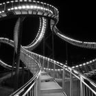 Tiger & Turtle