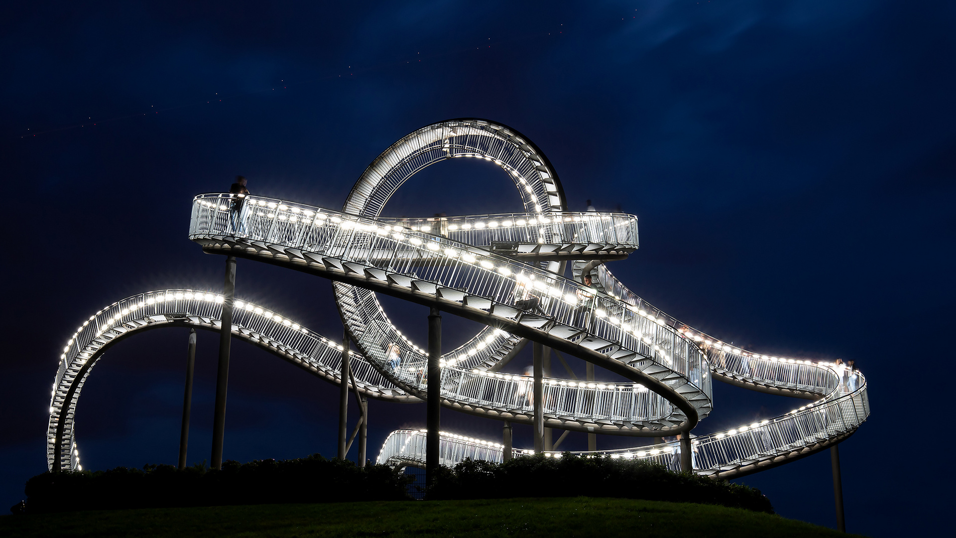 Tiger & Turtle