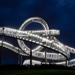 Tiger & Turtle