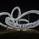 Tiger & Turtle