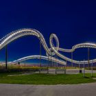 Tiger & Turtle