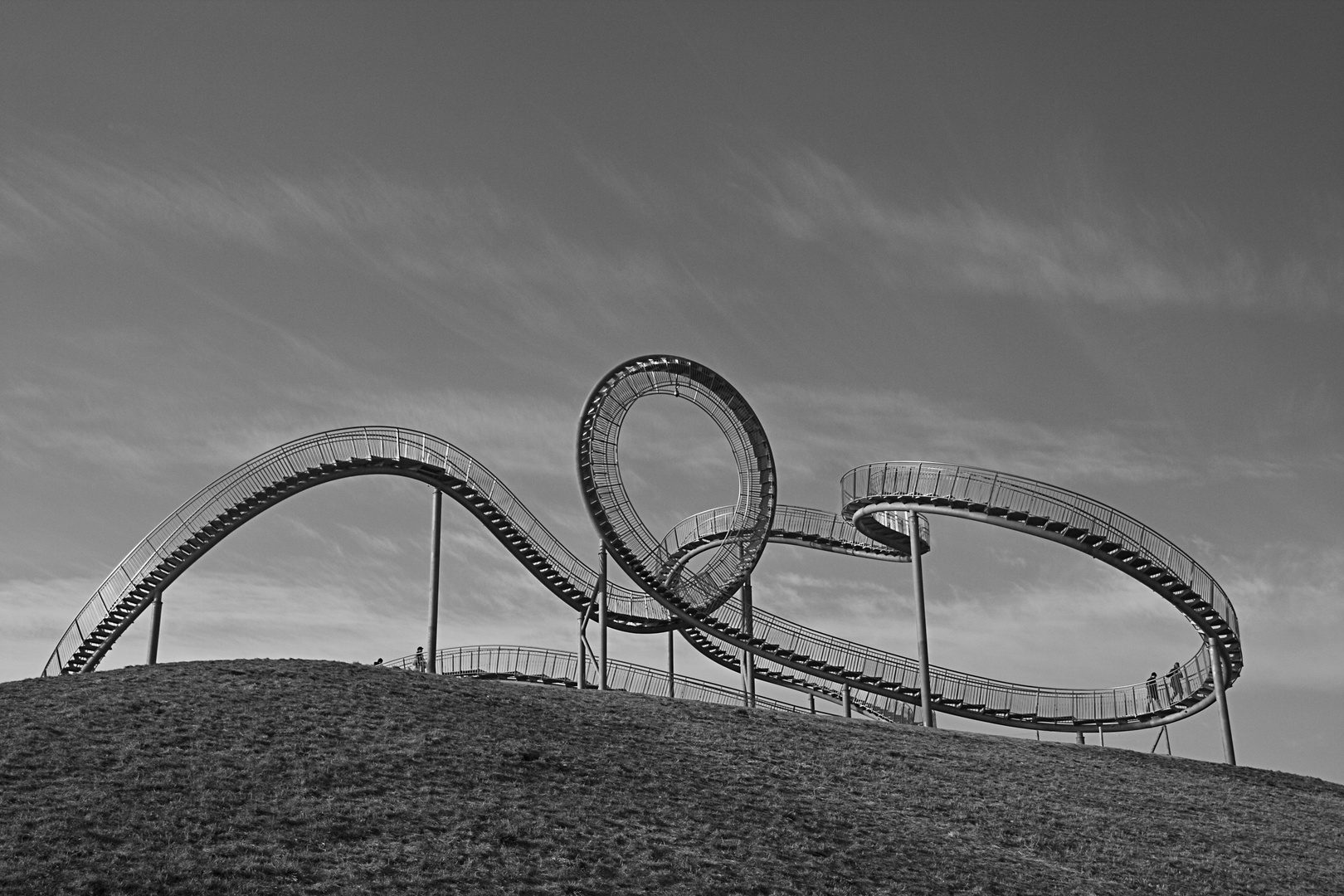 Tiger & turtle