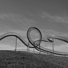 Tiger & turtle