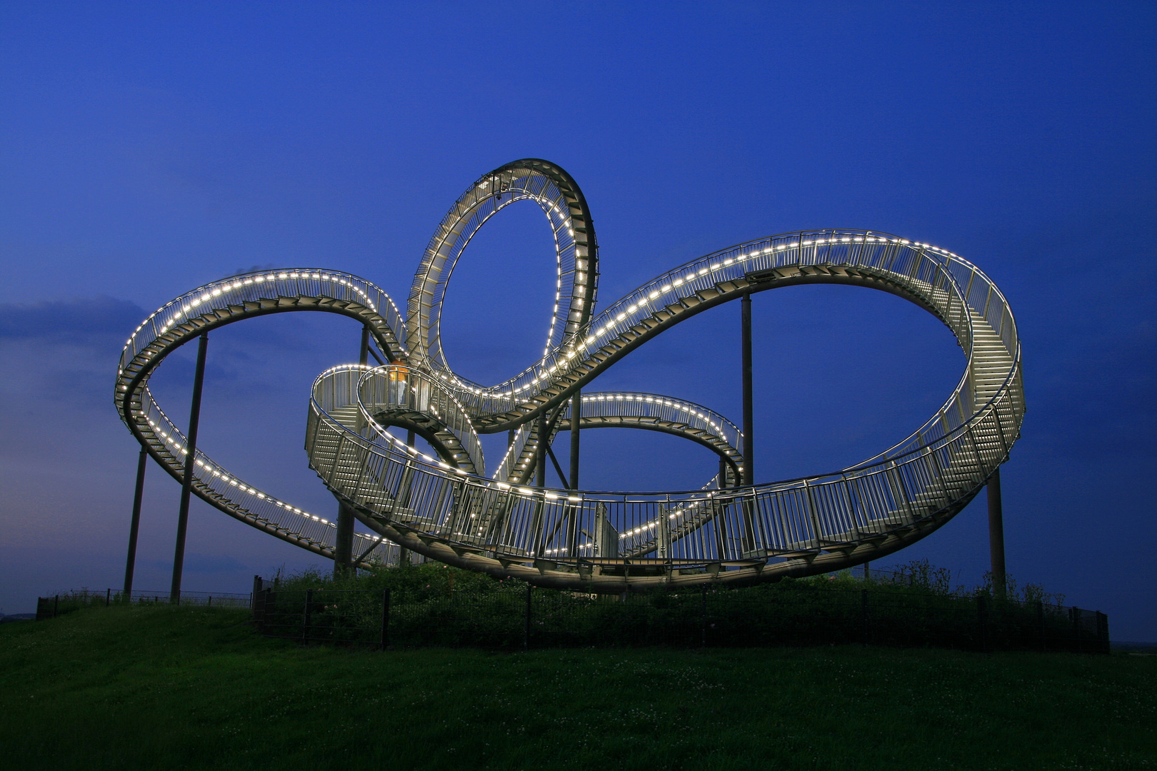 Tiger & Turtle