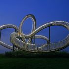 Tiger & Turtle