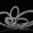 Tiger & Turtle