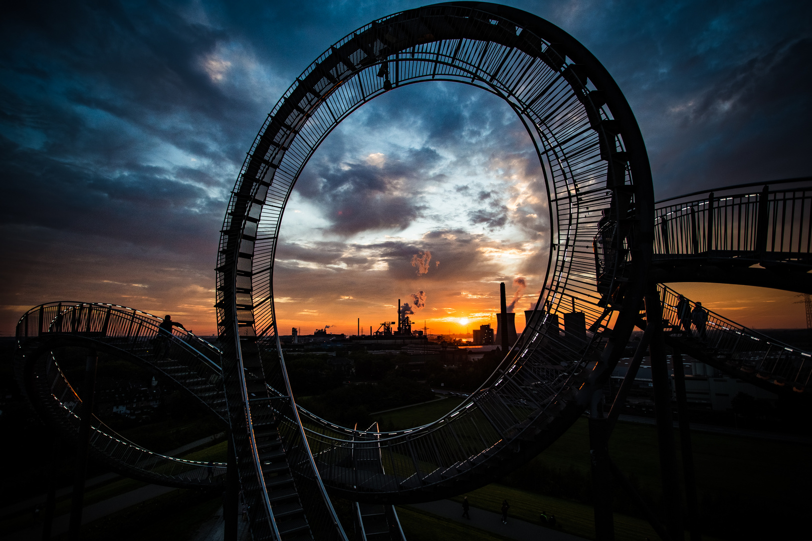 Tiger & Turtle