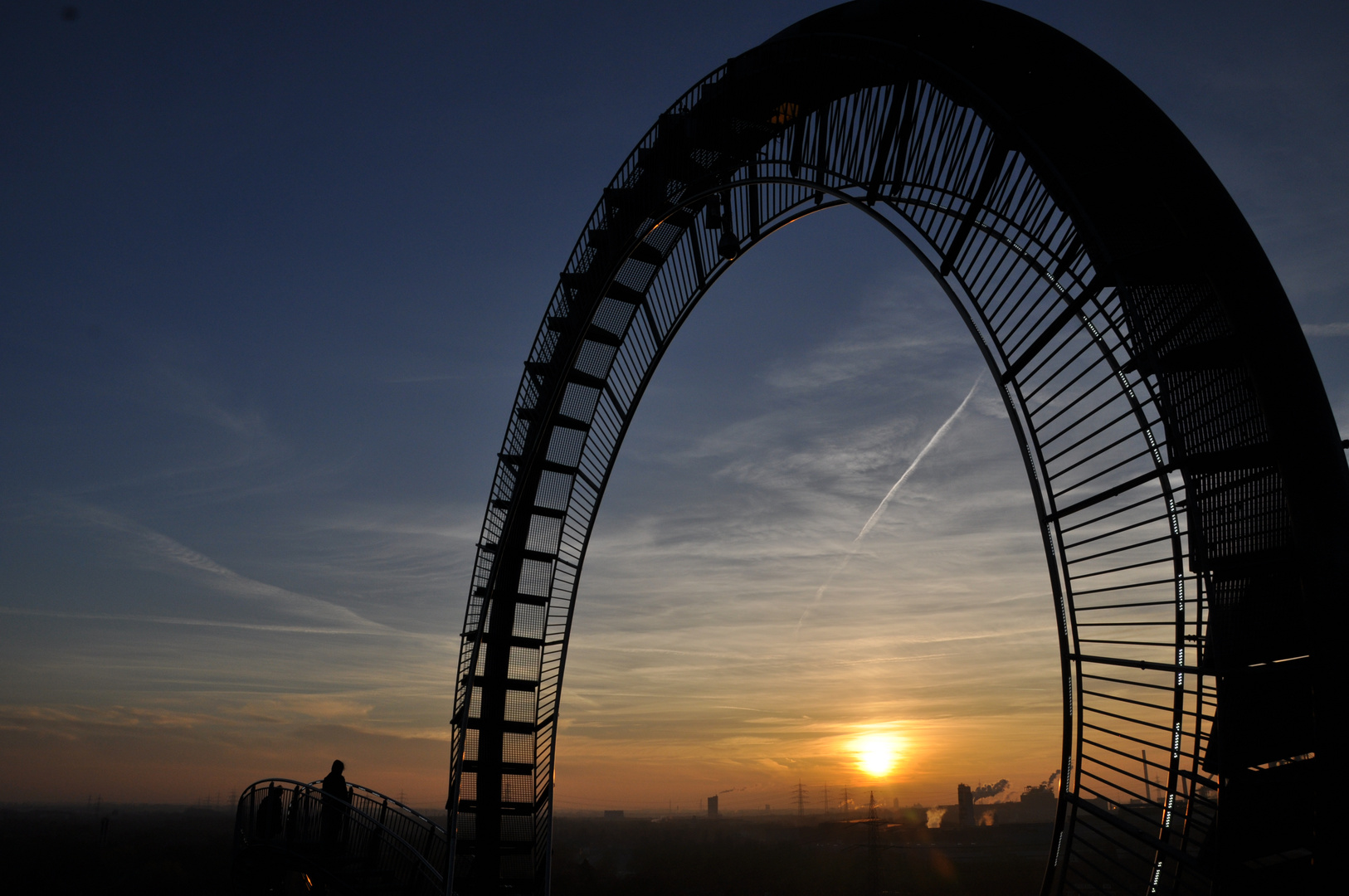 Tiger & Turtle