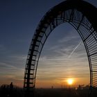 Tiger & Turtle