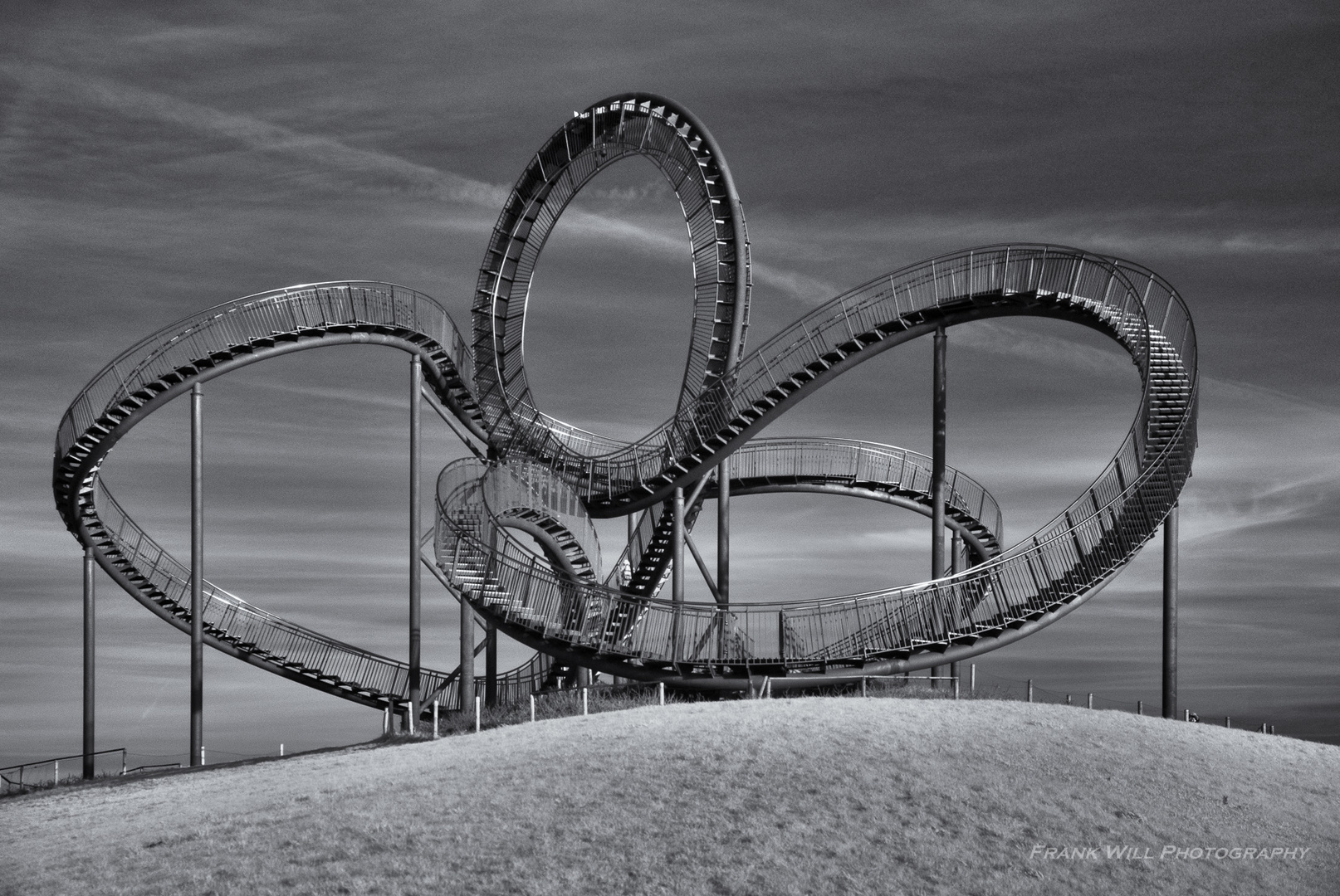 Tiger & Turtle