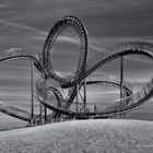 Tiger & Turtle