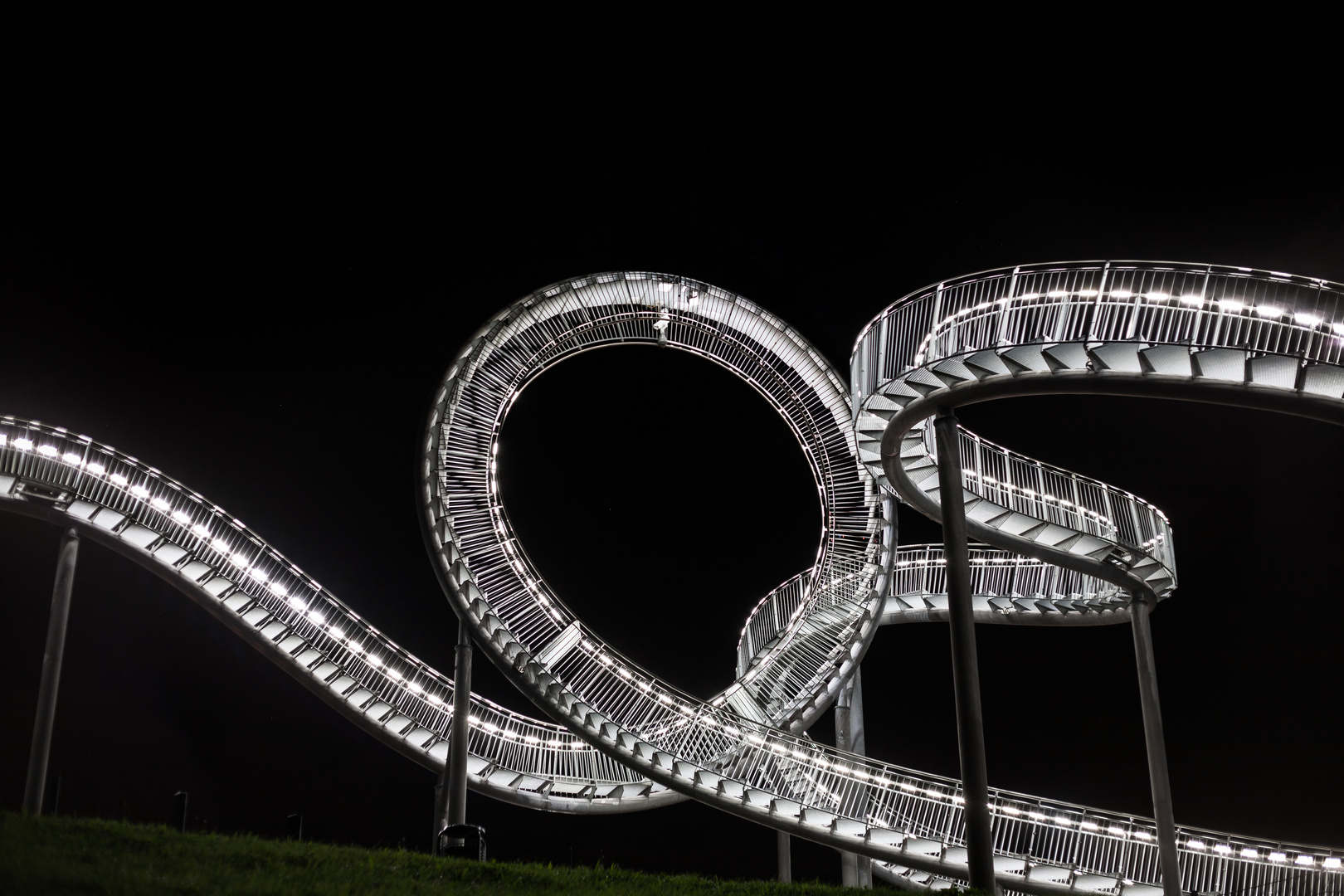 Tiger & Turtle