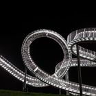 Tiger & Turtle