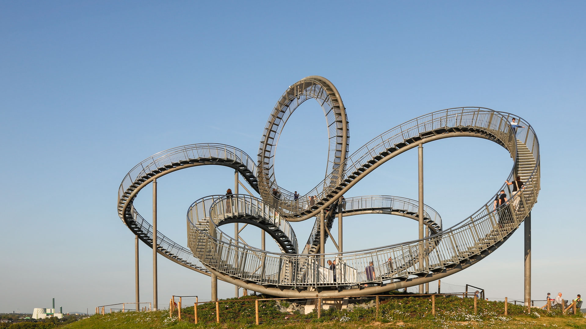 Tiger & Turtle