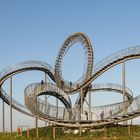 Tiger & Turtle