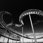 Tiger & Turtle