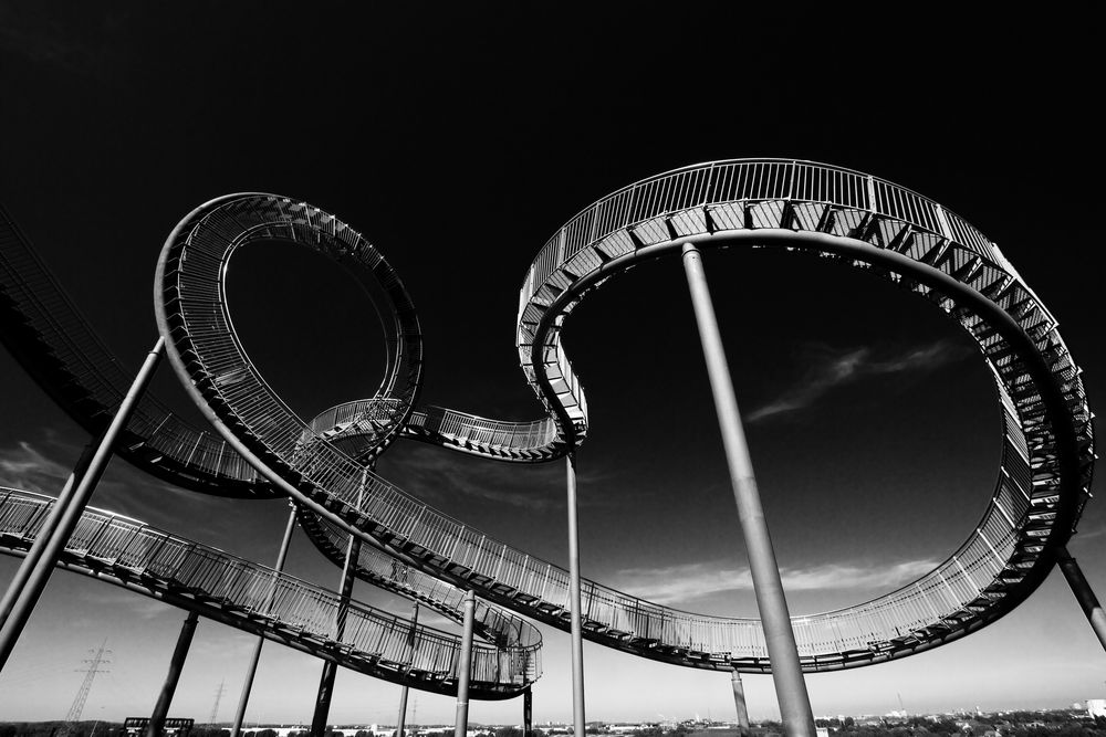 Tiger & Turtle