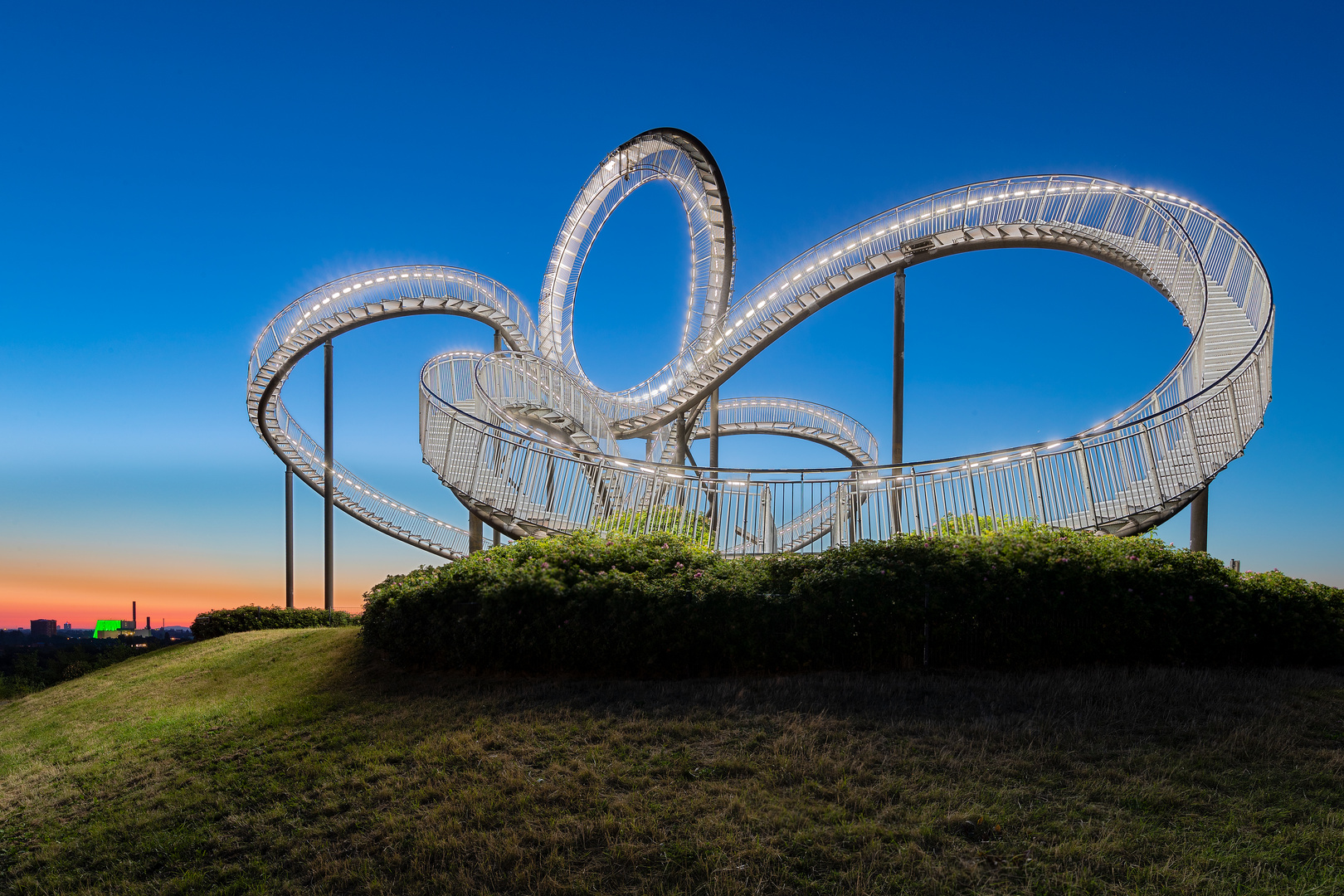 Tiger & Turtle