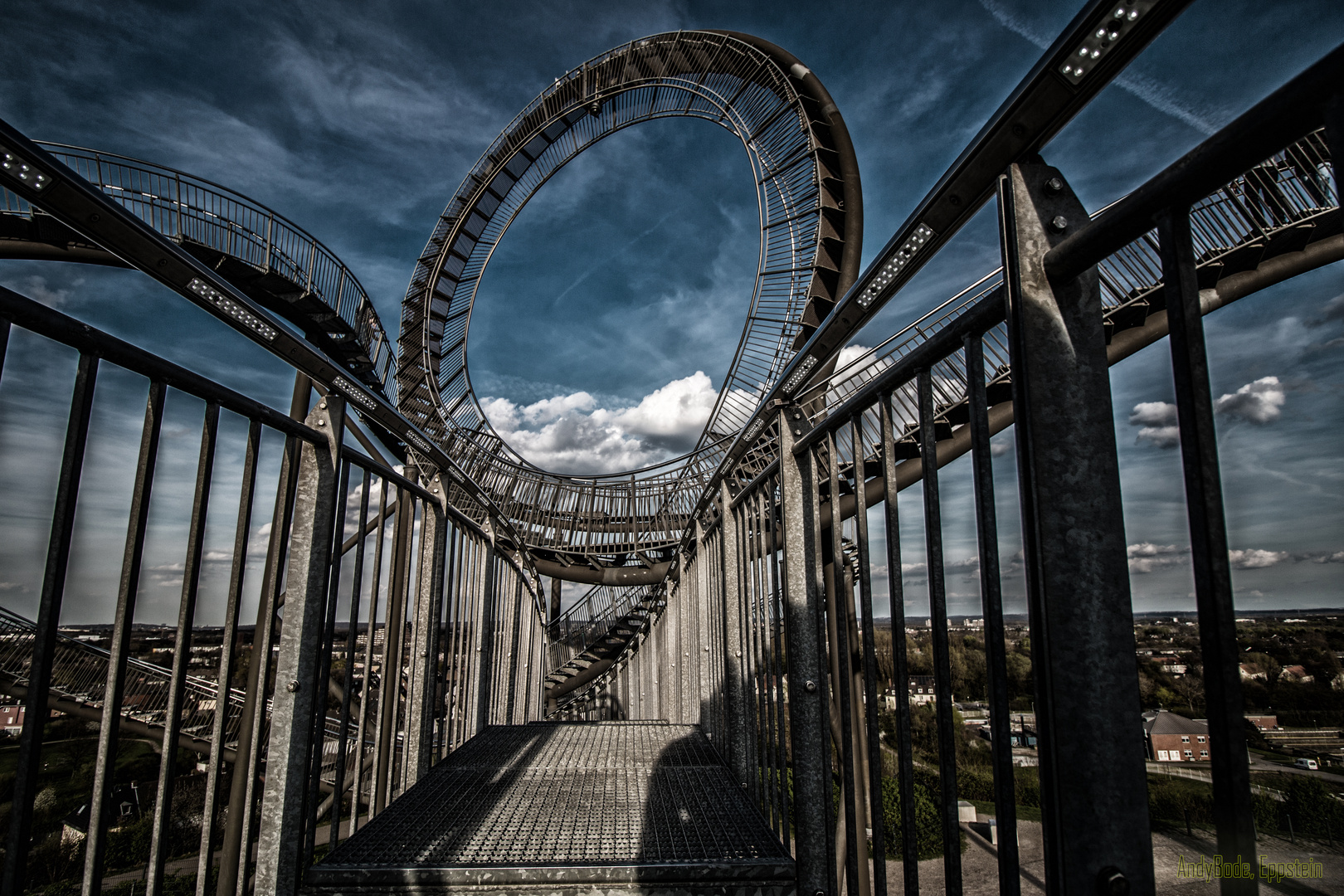 Tiger & Turtle