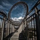 Tiger & Turtle