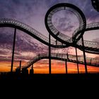 Tiger & Turtle am Abend