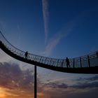 Tiger & Turtle am Abend