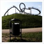 tiger turtle and a garbage can