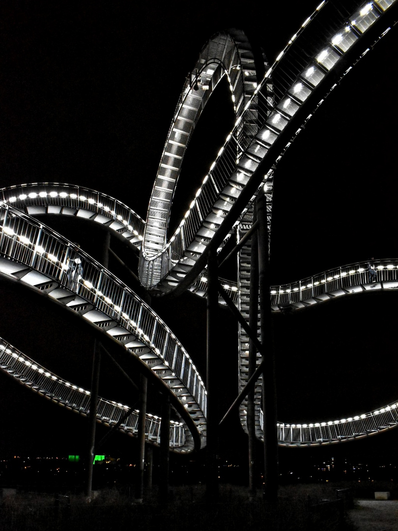 Tiger & Turtle at Night