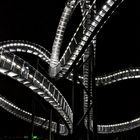 Tiger & Turtle at Night