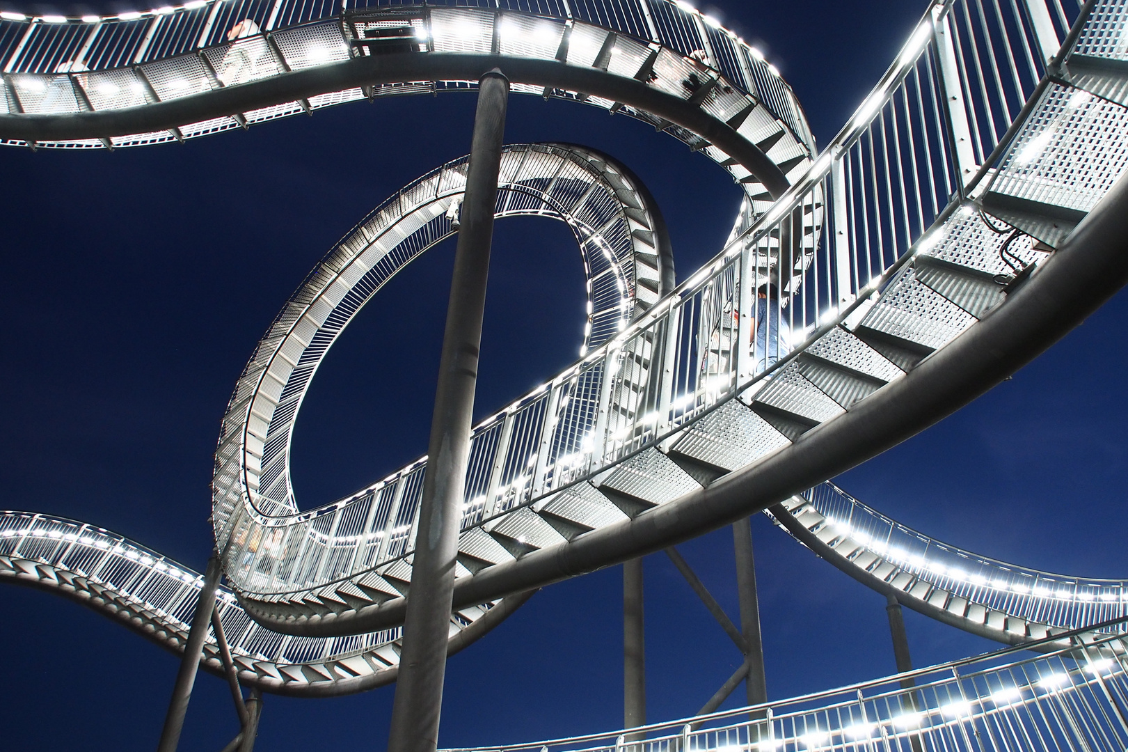 Tiger & Turtle at Night