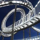 Tiger & Turtle at Night