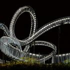 tiger & turtle