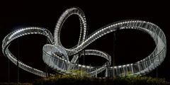 tiger & turtle