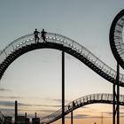 Tiger & Turtle