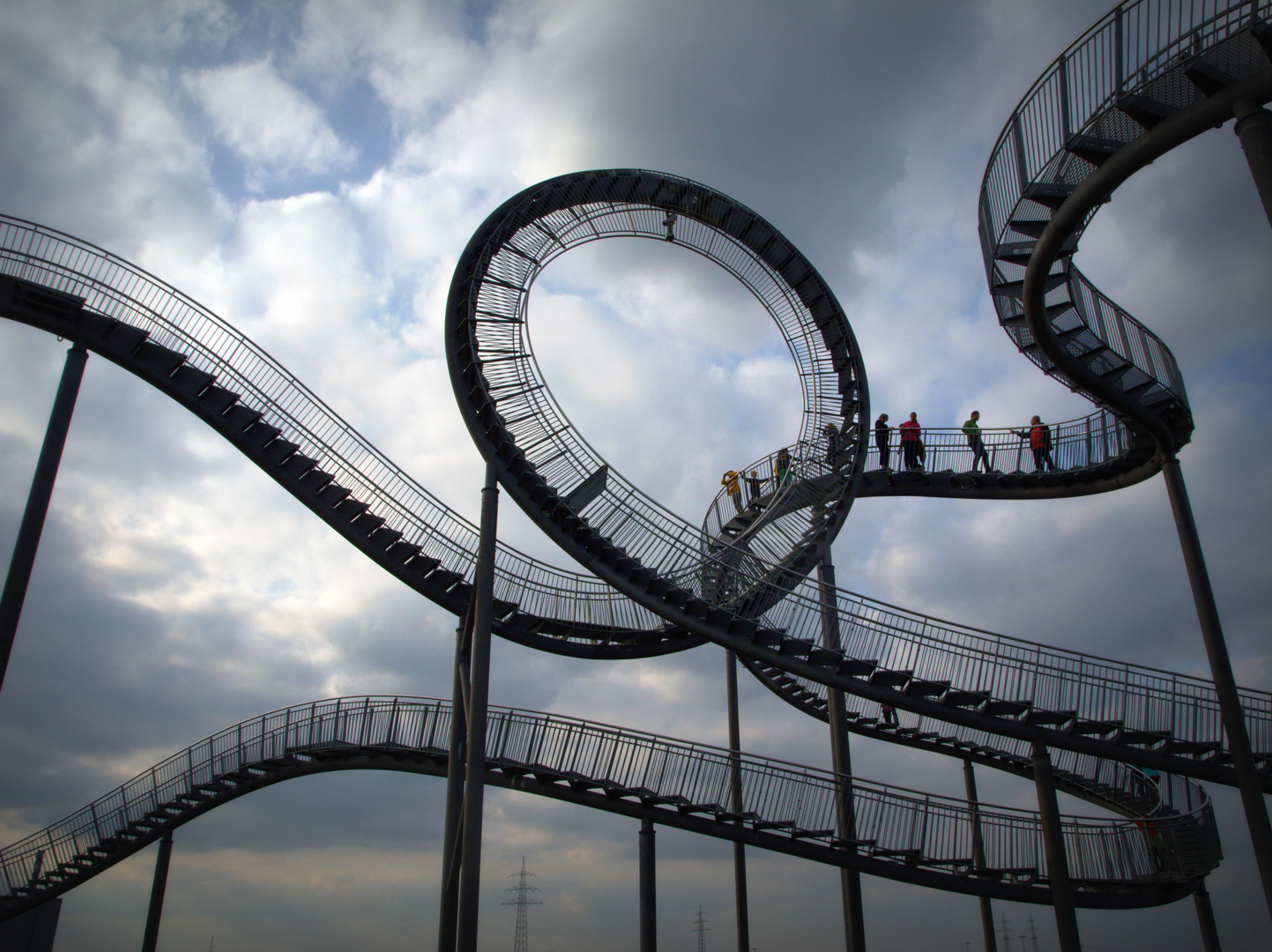 Tiger & Turtle