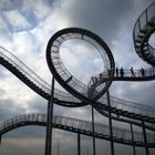 Tiger & Turtle