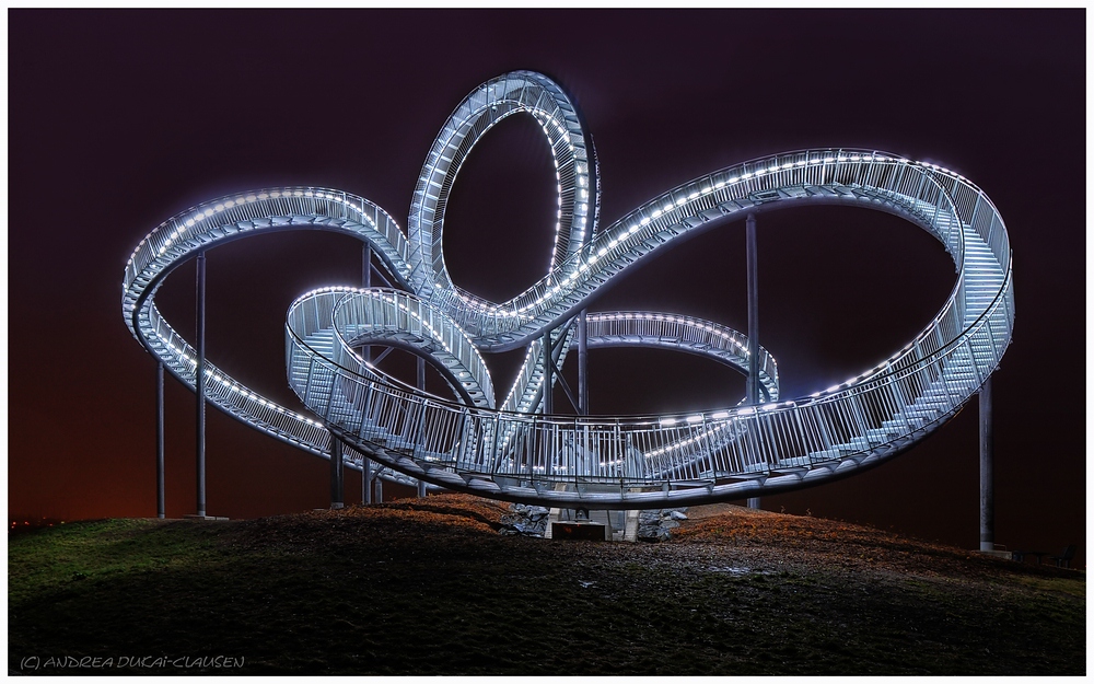 Tiger & Turtle