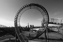 Tiger & Turtle