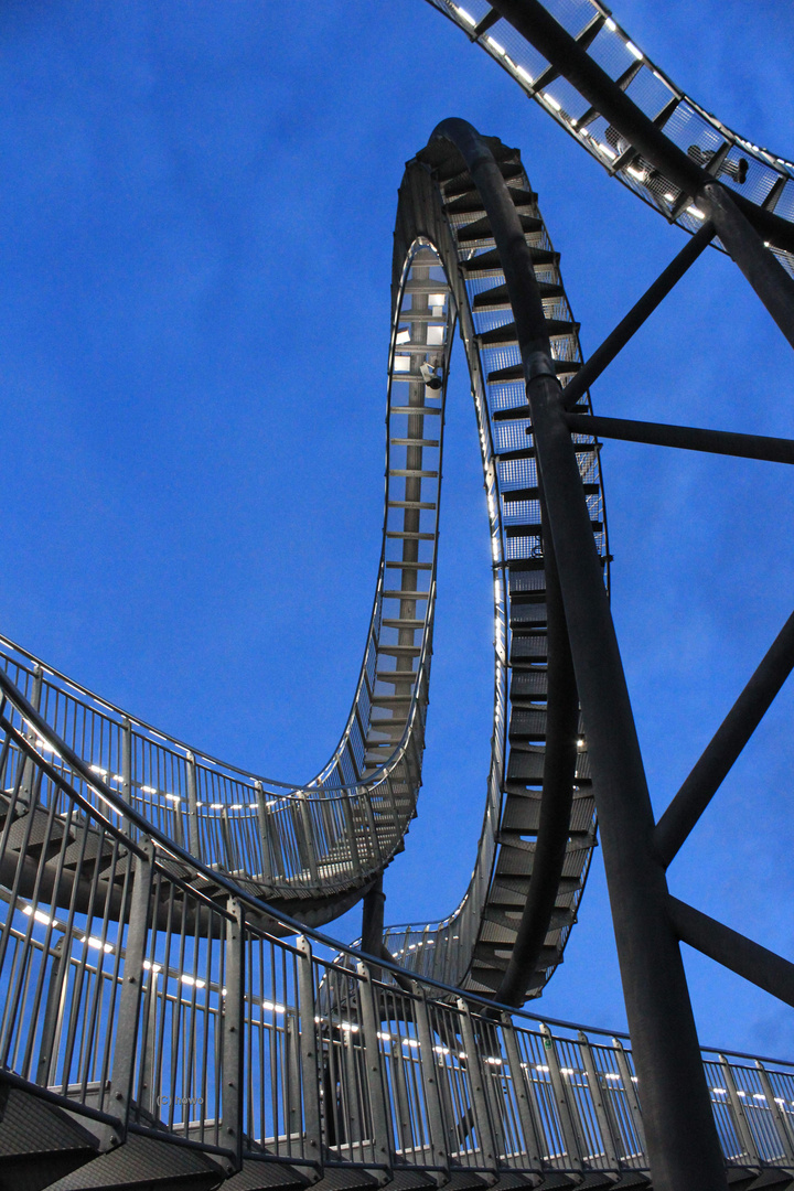 Tiger & Turtle