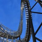 Tiger & Turtle