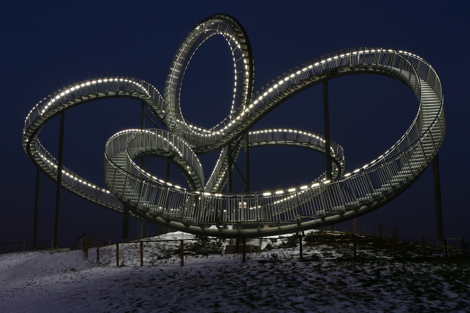 Tiger & Turtle