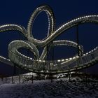 Tiger & Turtle