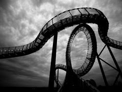 Tiger & Turtle