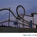 TIGER + TURTLE