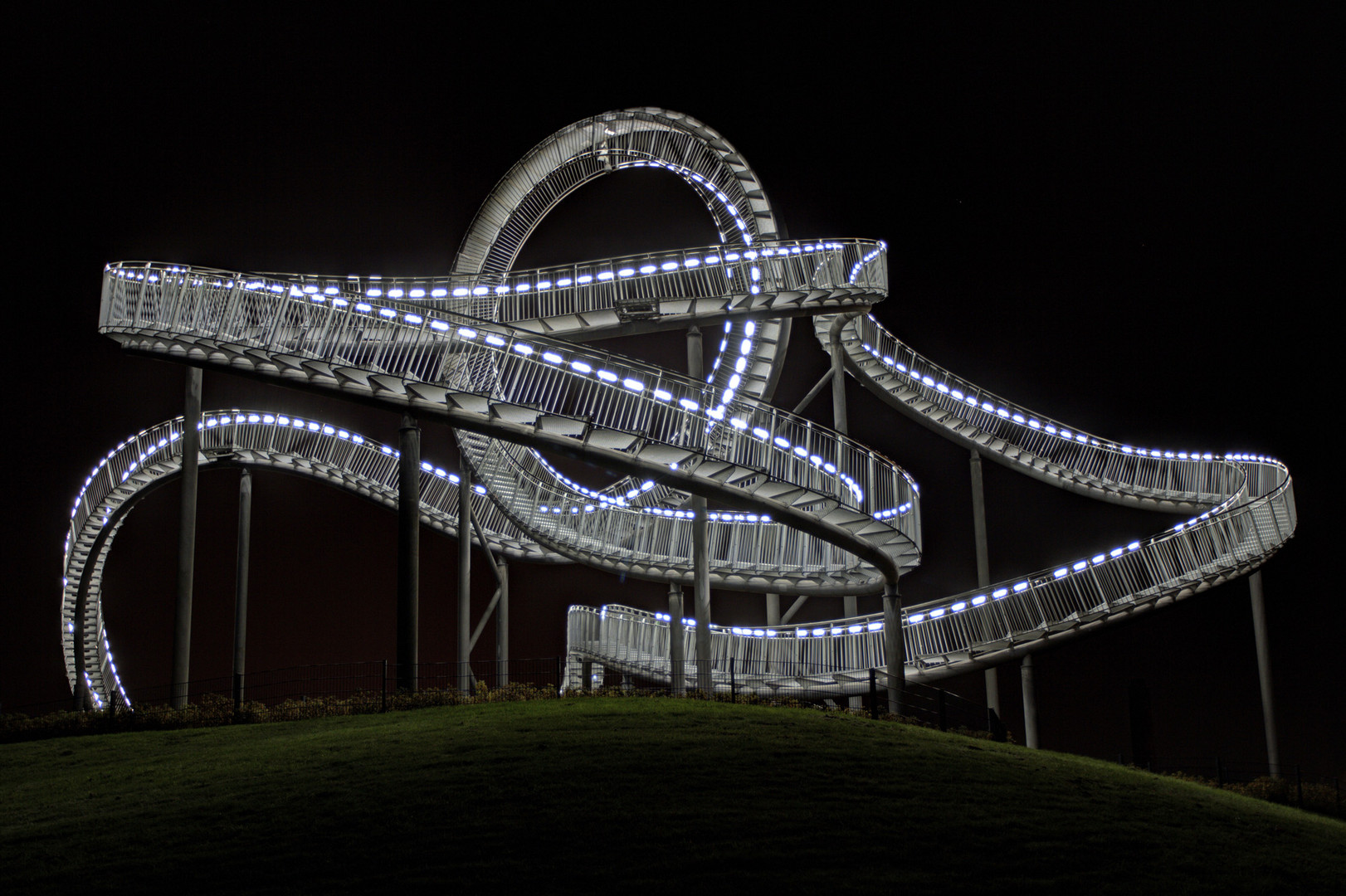 Tiger & Turtle