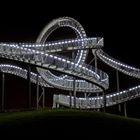 Tiger & Turtle