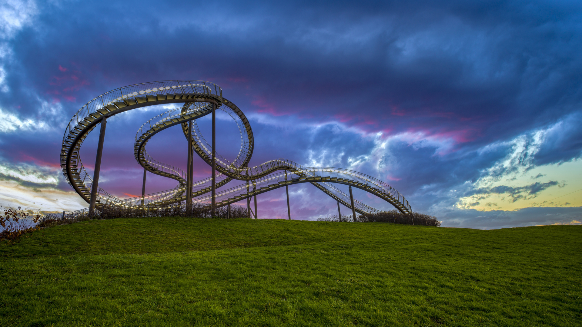 Tiger & Turtle