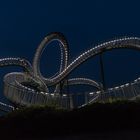 Tiger & Turtle 