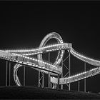 Tiger & Turtle