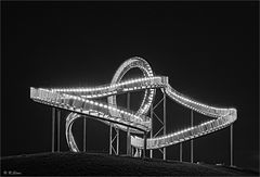 Tiger & Turtle